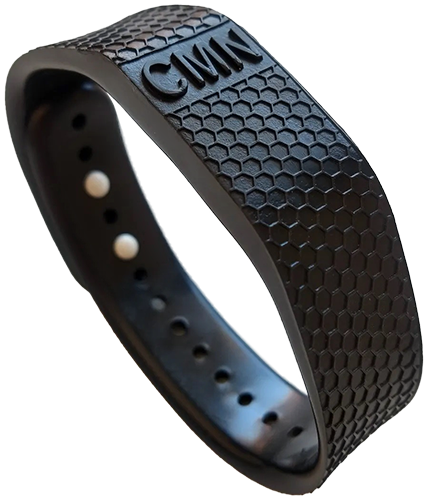 PULSEIRA_BIOMAGNETICA